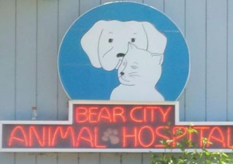 pet friendly veterinarians in new mexico