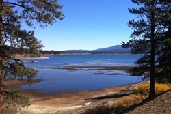 Pet friendly dog park in Taos, New Mexico: Carson National Forest