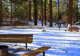 pet friendly hotel in taos