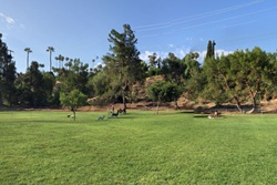 Pet friendly dog park in Taos, New Mexico: Santa Cruz Lake Recreational Area