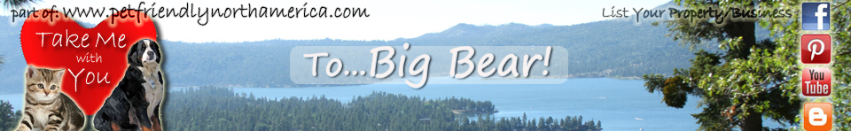 dog friendly vacation rentals in big bear california