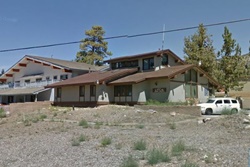 pampered pooch salon and doggy daycare pet grooming in fort lauderdale florida